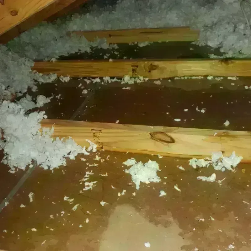 Attic Water Damage in Wilton, CA